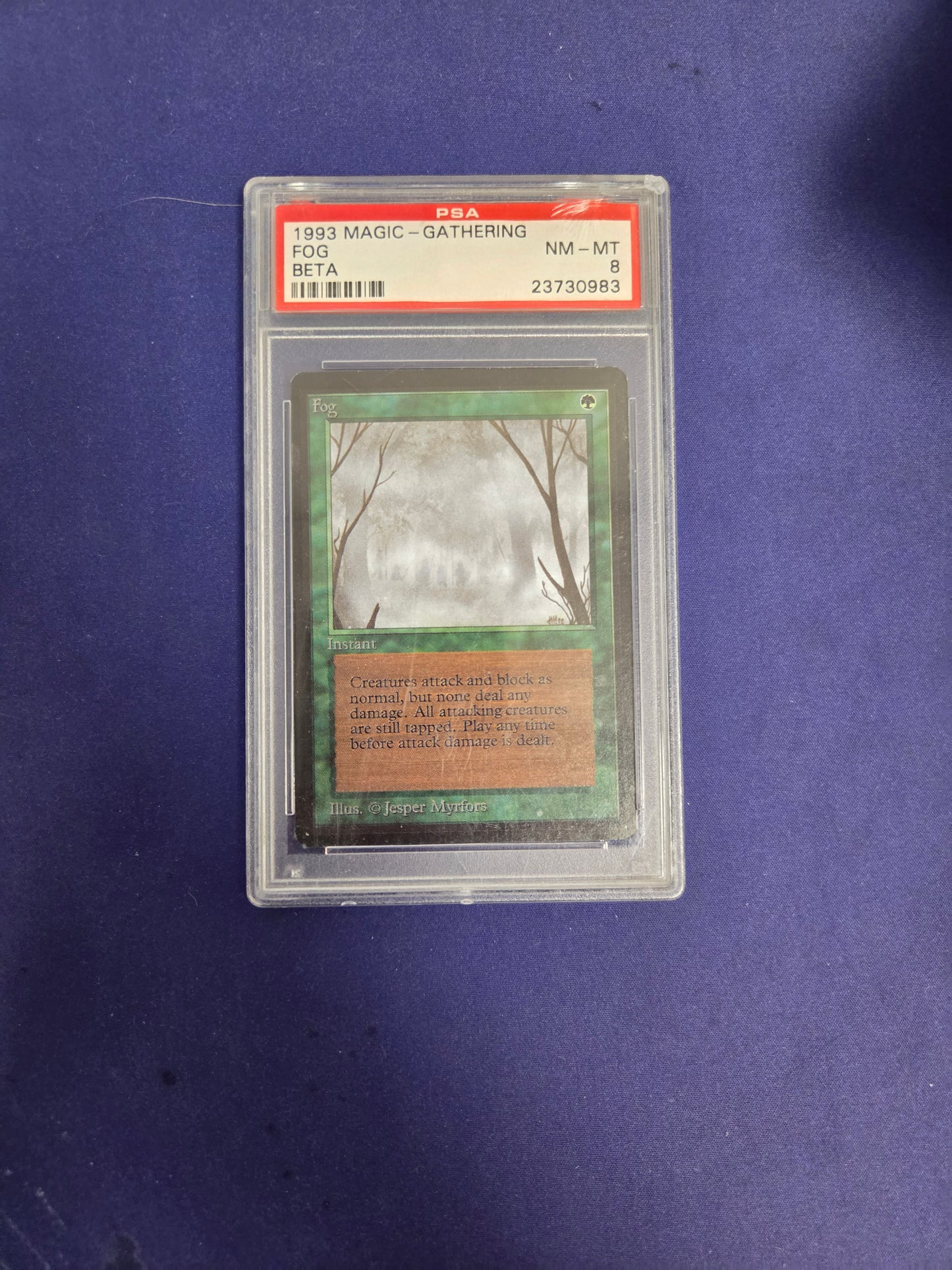 Fog - Beta - PSA 8