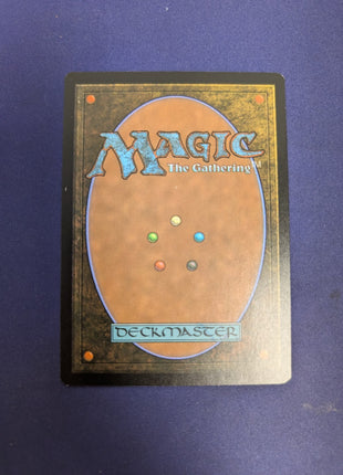 Sylvan Tutor Special Guest 0059