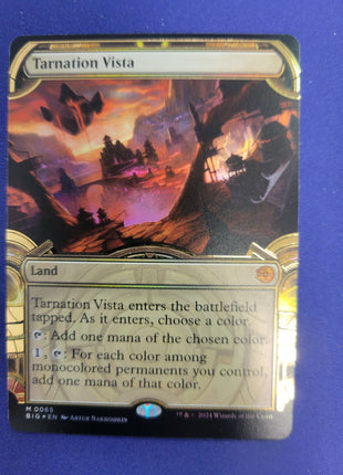 Tarnation Vista - BIG - 0065
