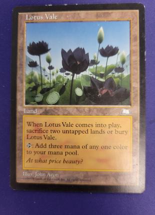 Lotus Vale - MP