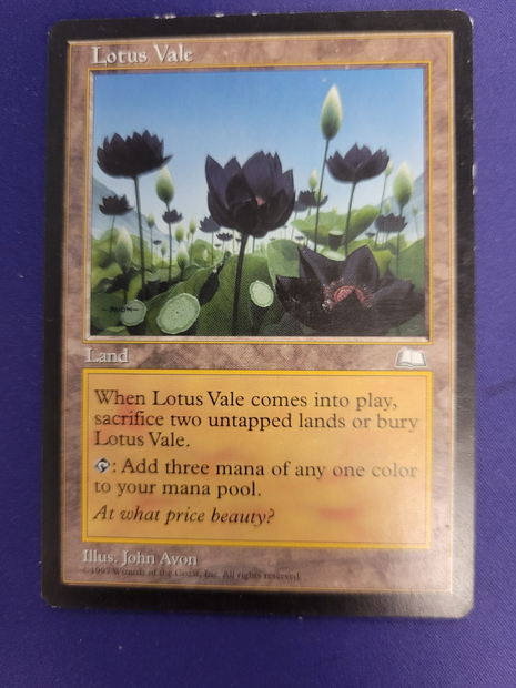 Lotus Vale - MP