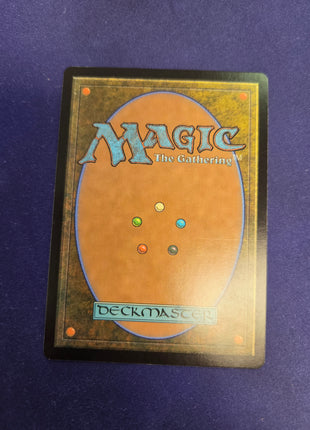 Misty Rainforest ZEN 220/249