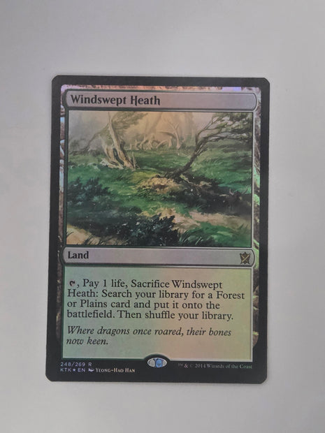 Windswept Heath KTK 284