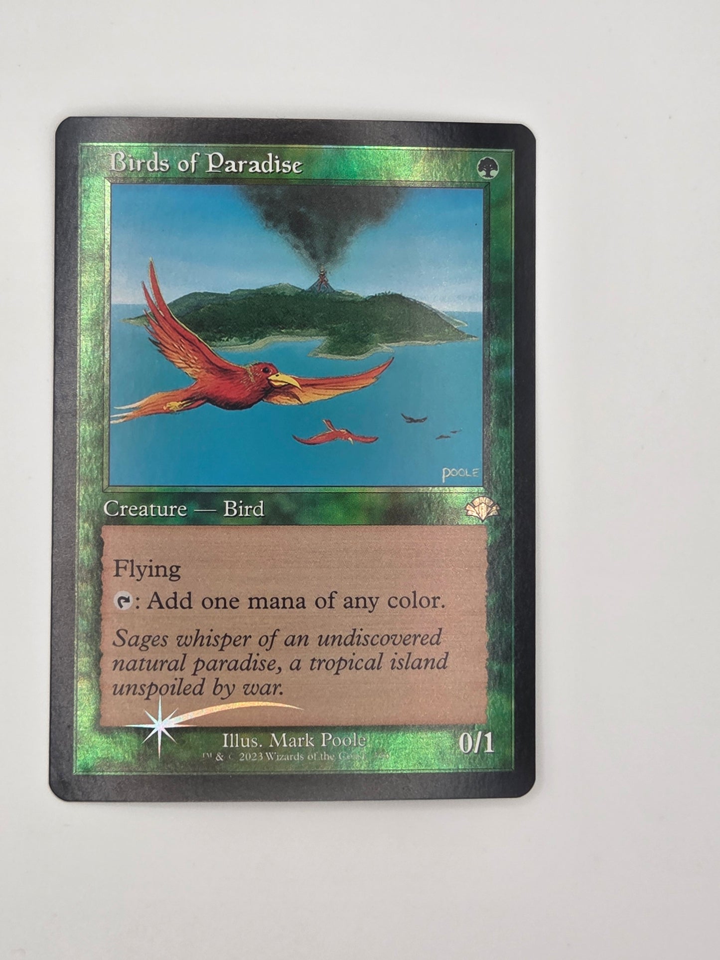 Birds of Paradise - DMR 336 Foil