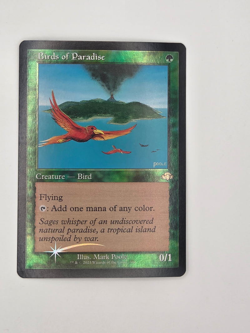 Birds of Paradise - DMR 336 Foil