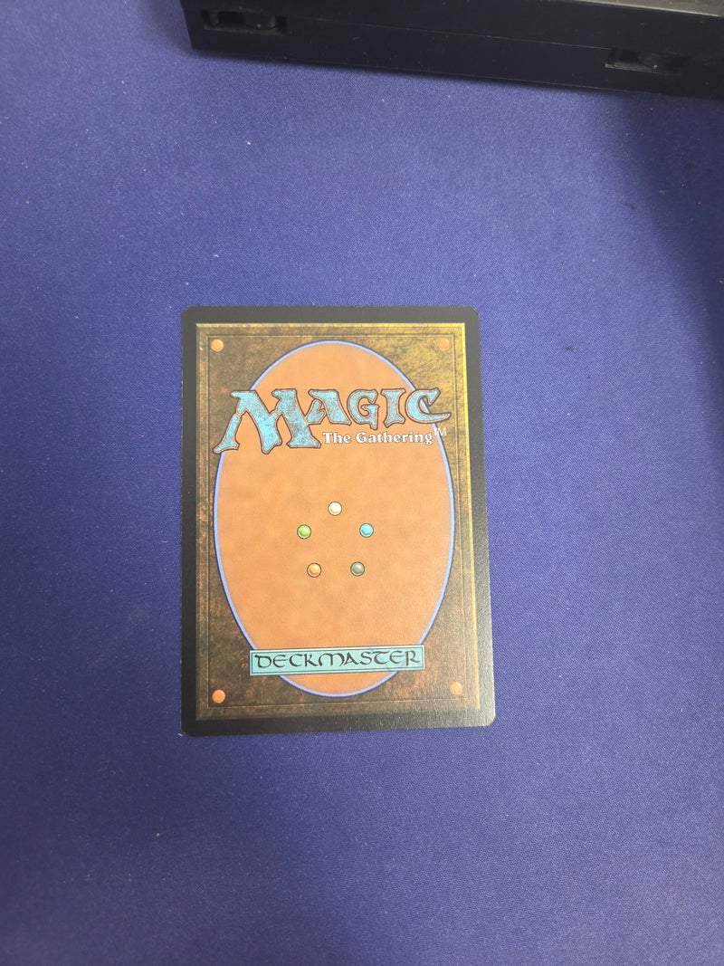 Enlightened Tutor - DMR 6/261