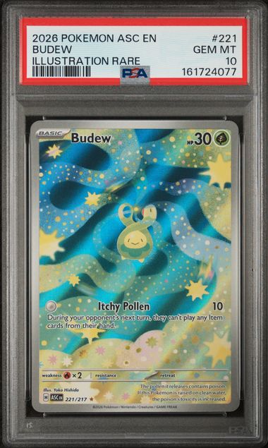 Budew 221/217 - Ascended Heroes (ASC) PSA 10