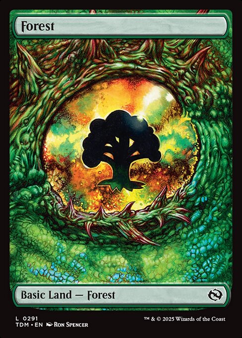 Forest 291 Tarkir: Dragonstorm (TDM) [Foil] NM