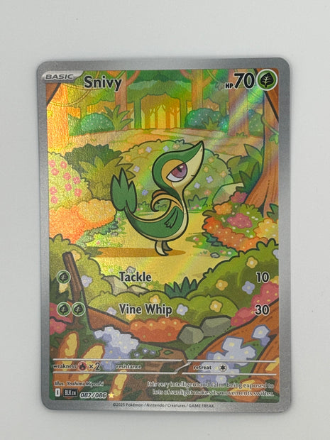 Snivy Holo 087/086 Black Bolt