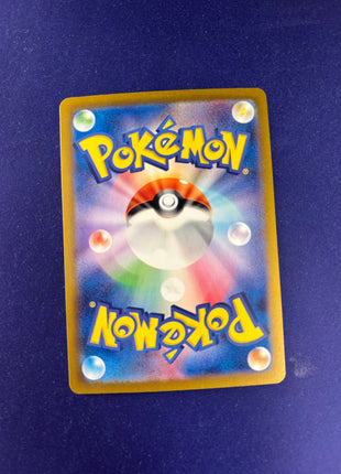 Blastoise Ex Holo 202/165 SAR