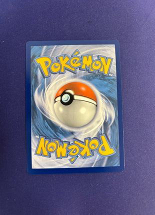 Charizard V Holo Sword and Shield Promo SWSH260