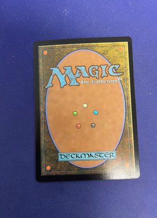 Meticulous Archive 0328 MKM