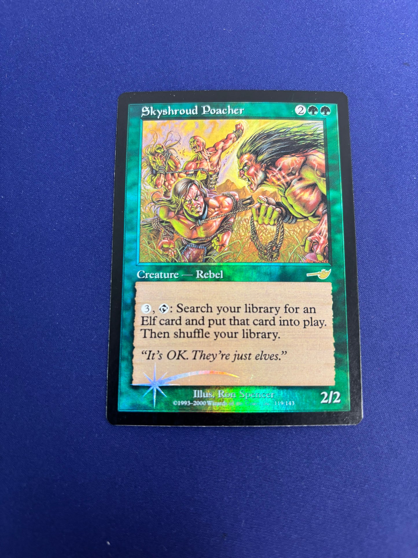 Skyshroud Poacher LP Holo NMS 119/143