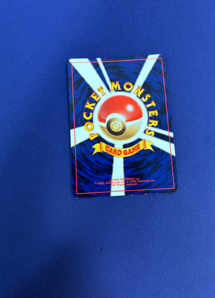 Houndoom Holo 229 Crossing the Ruins Jap