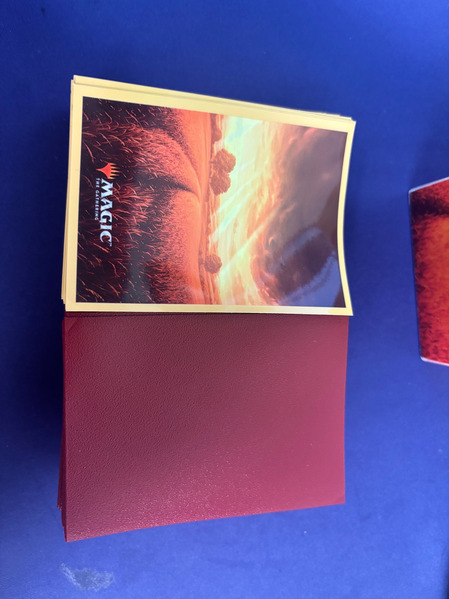 Used Deck Box with 2 Sets of 100 Sleeves