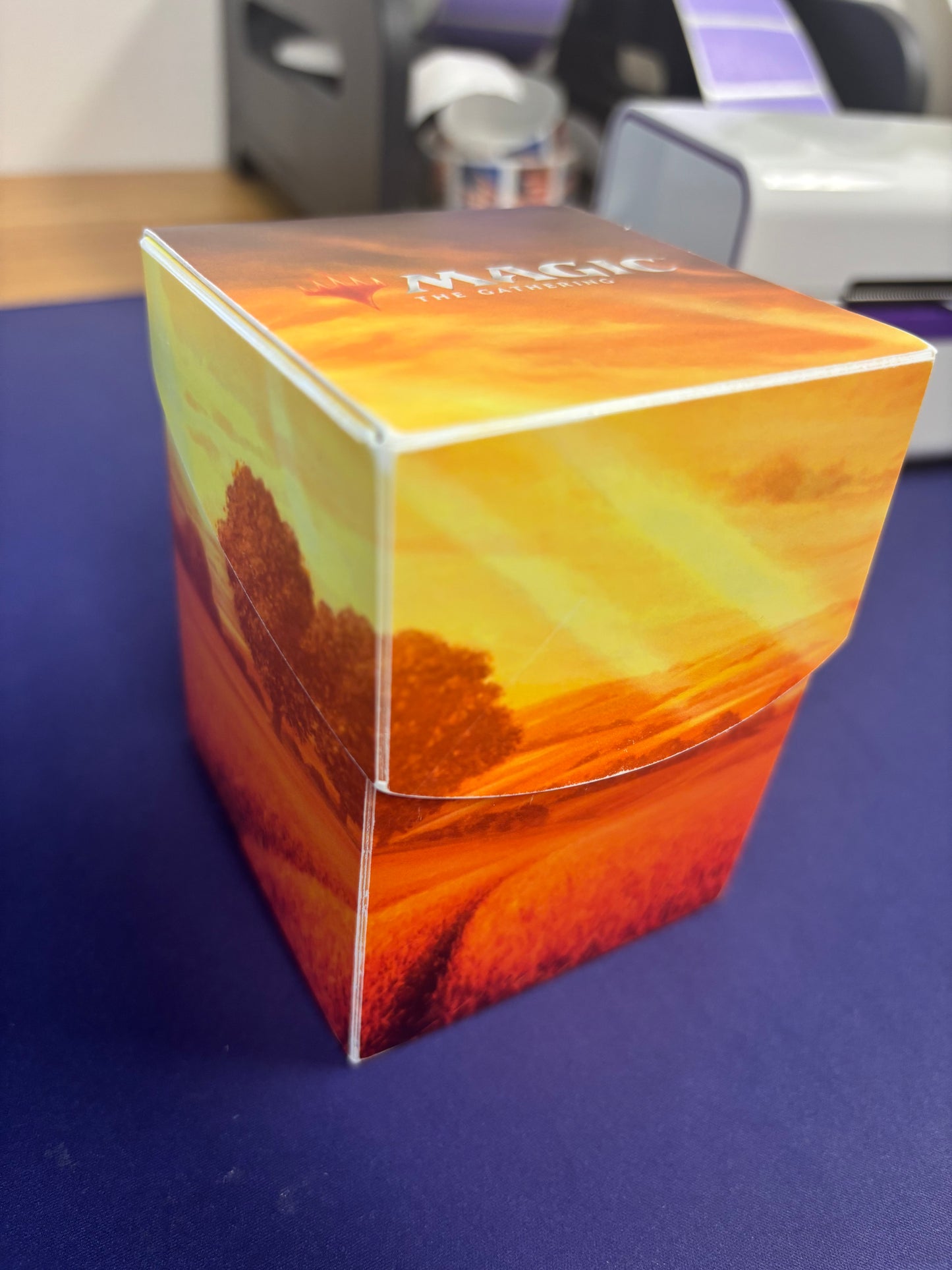 Used Deck Box with 2 Sets of 100 Sleeves
