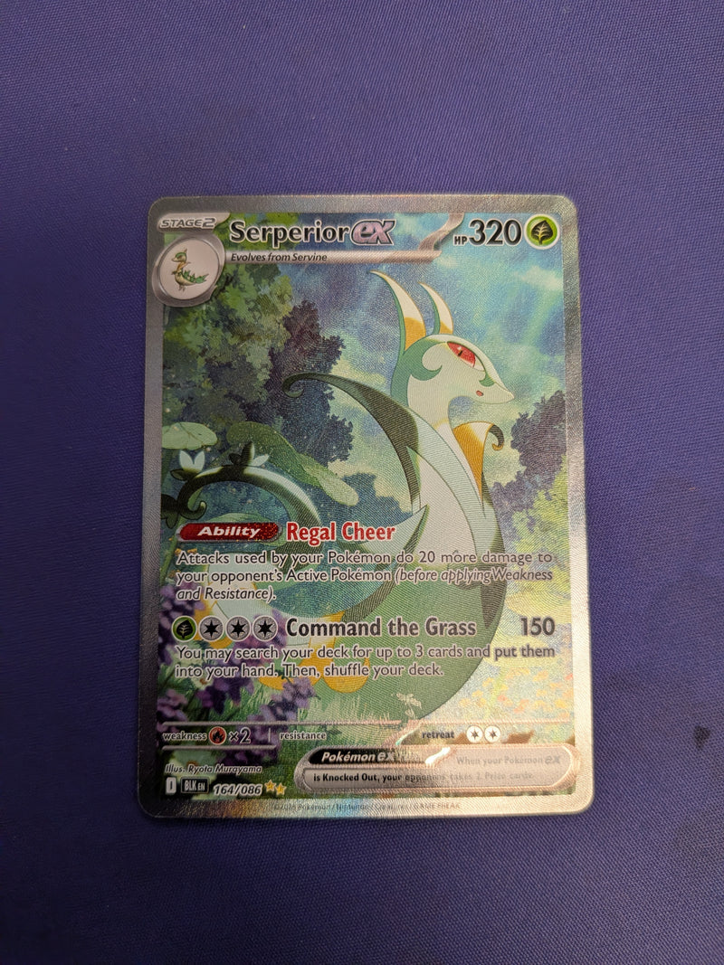 Serperior ex 164/86 - Black Bolt (BLK) LP