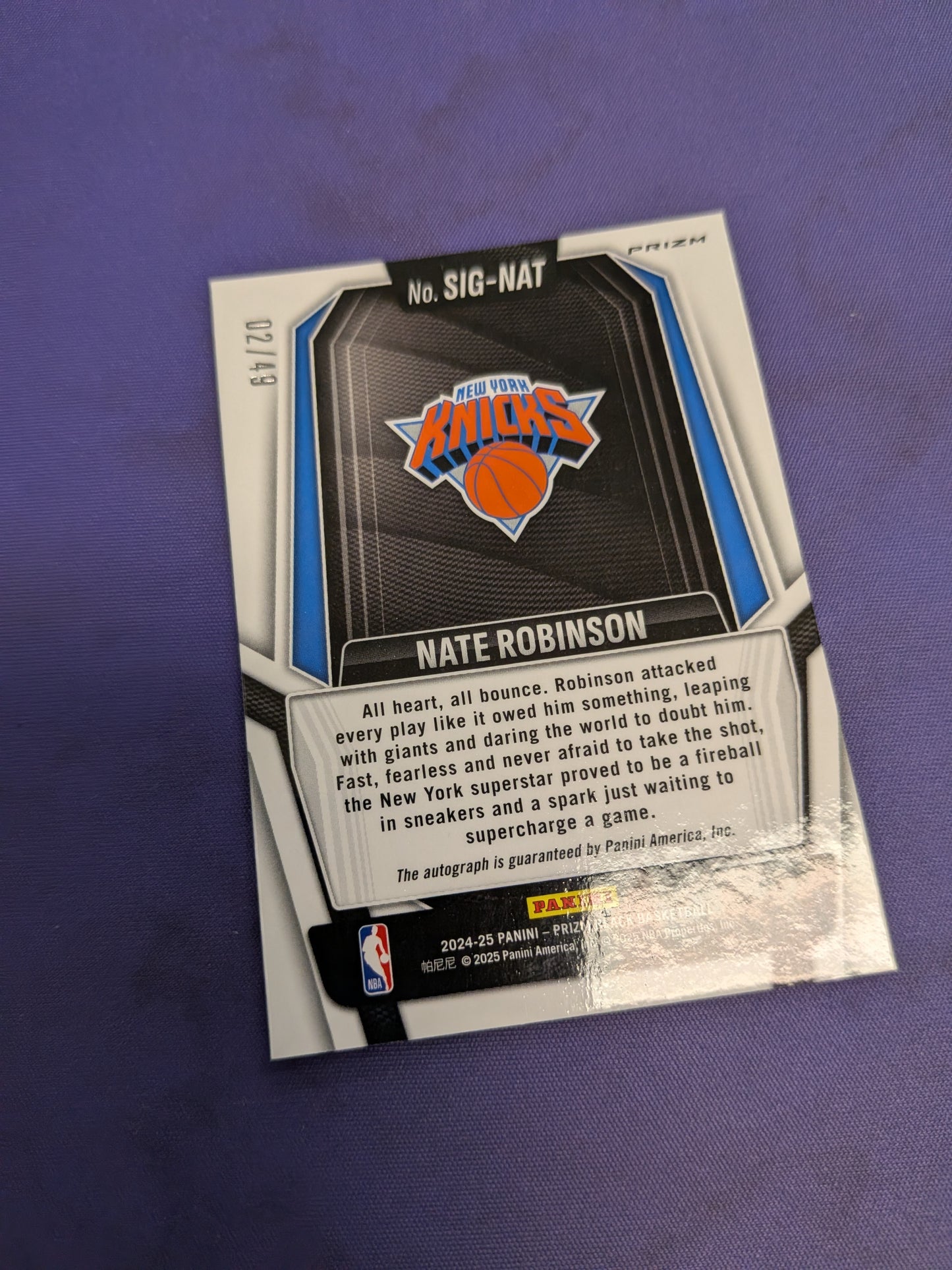 Nate Robinson AUTO /49 2024-25 Prizm