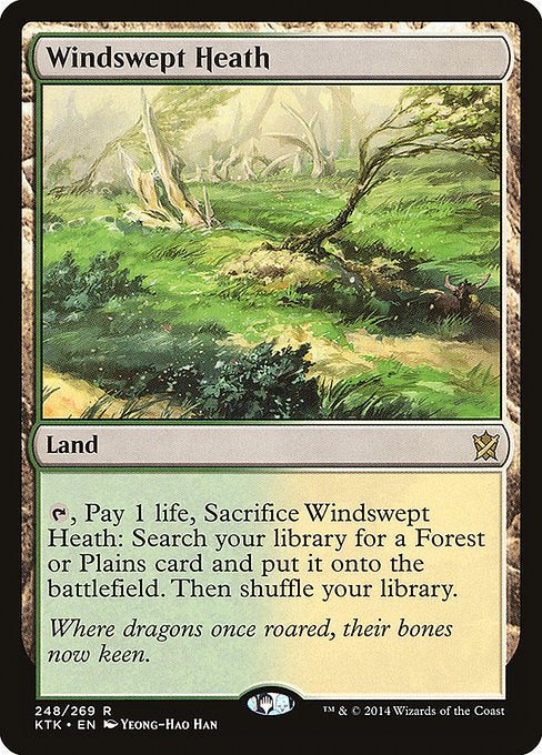 Windswept Heath 248 Khans Of Tarkir (KTK) [Nonfoil] NM