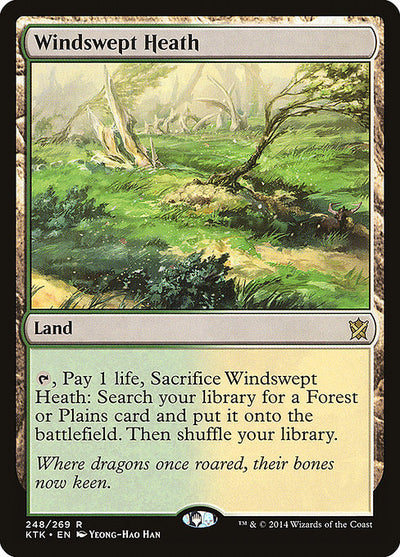 Windswept Heath 248 Khans Of Tarkir (KTK) [Nonfoil] NM