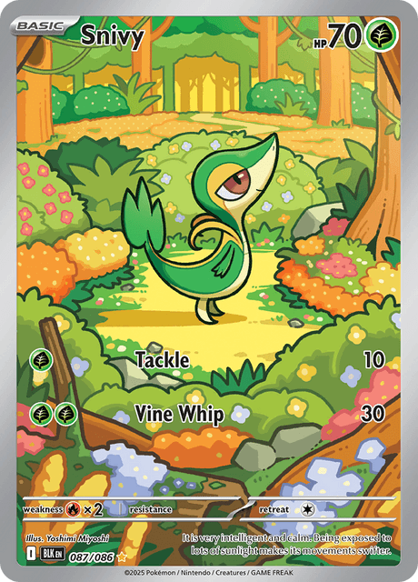 Snivy 87/86 - Black Bolt (BLK) NM