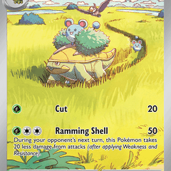 Grotle 164/162 - Temporal Forces (TEF) NM