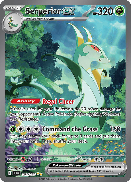 Serperior ex 164/86 - Black Bolt (BLK) NM