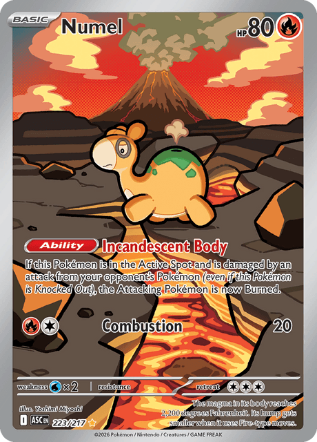 Numel 223/217 - Ascended Heroes (ASC) NM